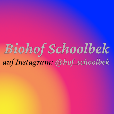 Folgen Sie uns auf Instagram, um keine aktuellen Neuigkeiten rund um unseren Biohof Schoolbek mehr zu verpassen.