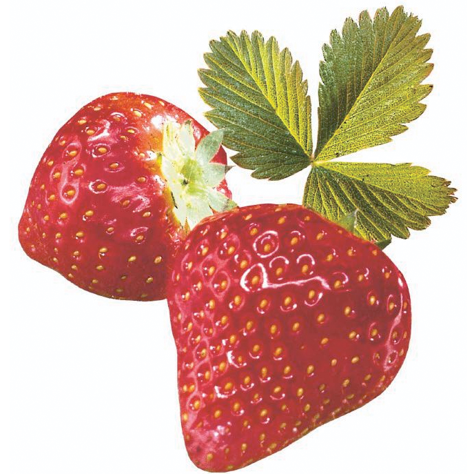 Erdbeeren